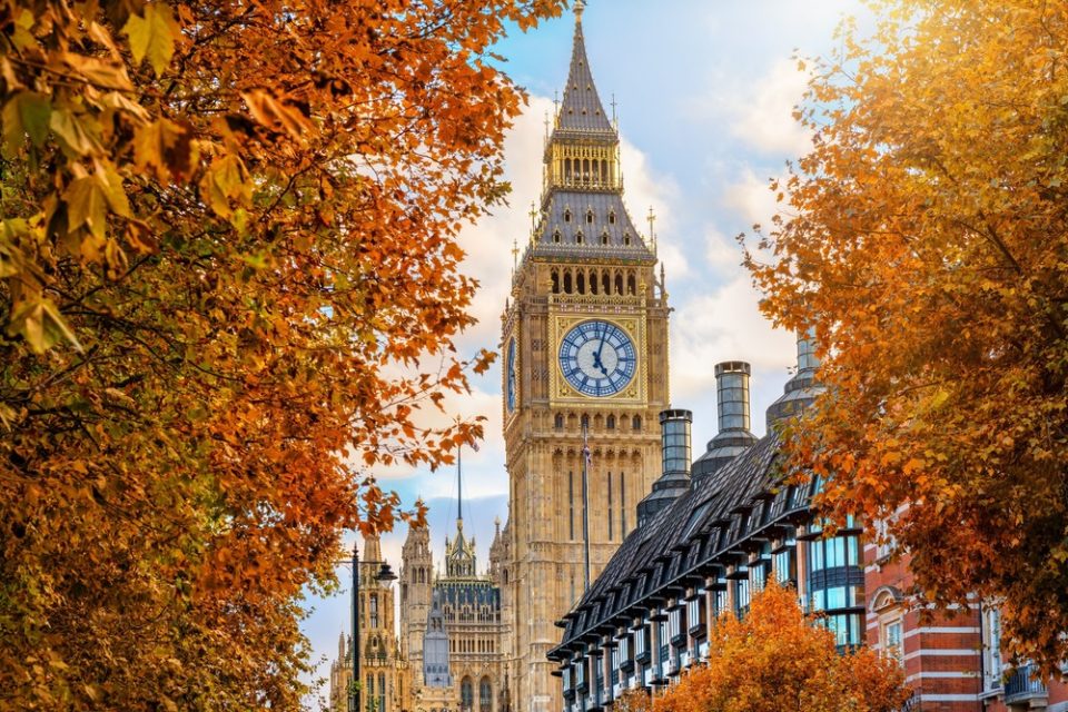 Leafy shot of Big Ben